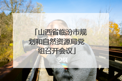 山西省临汾市规划和自然资源局党组召开会议