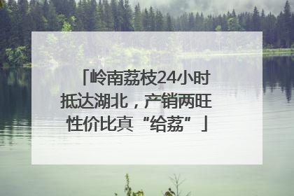 岭南荔枝24小时抵达湖北，产销两旺性价比真“给荔”