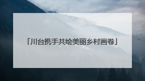 川台携手共绘美丽乡村画卷