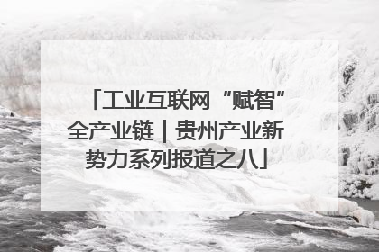 工业互联网“赋智”全产业链｜贵州产业新势力系列报道之八
