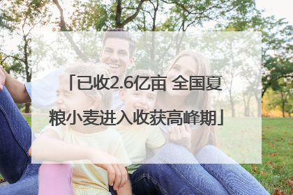 已收2.6亿亩 全国夏粮小麦进入收获高峰期