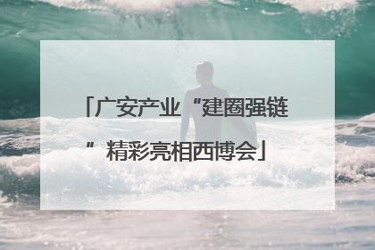 广安产业“建圈强链”精彩亮相西博会