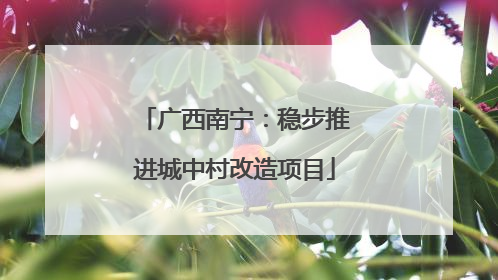广西南宁：稳步推进城中村改造项目