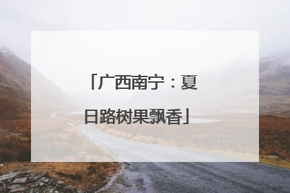 广西南宁：夏日路树果飘香