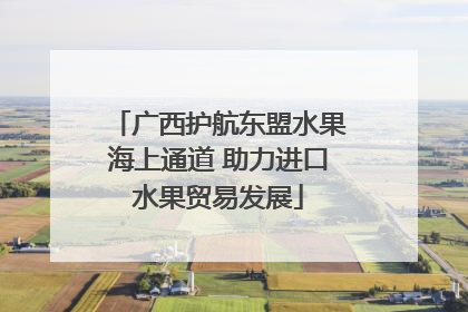 广西护航东盟水果海上通道 助力进口水果贸易发展