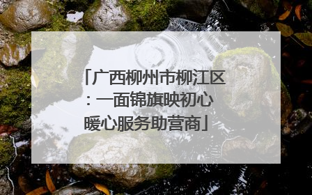 广西柳州市柳江区：一面锦旗映初心 暖心服务助营商