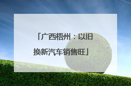 广西梧州：以旧换新汽车销售旺