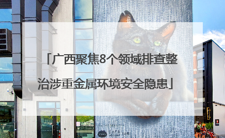 广西聚焦8个领域排查整治涉重金属环境安全隐患