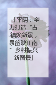 平阴：全力打造“古镇焕新景，泉韵映江南”乡村振兴新图景