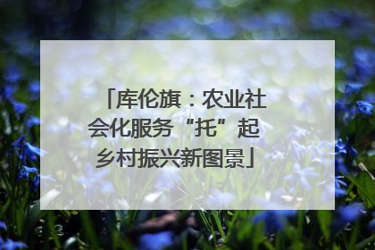 库伦旗：农业社会化服务“托”起乡村振兴新图景