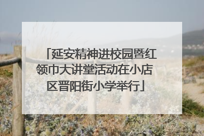 延安精神进校园暨红领巾大讲堂活动在小店区晋阳街小学举行