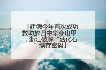 建德今年首次成功救助放归中华穿山甲，浙江破解“活化石”续存密码