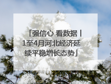 强信心 看数据丨1至4月河北经济延续平稳增长态势