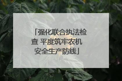 强化联合执法检查 平度筑牢农机安全生产防线