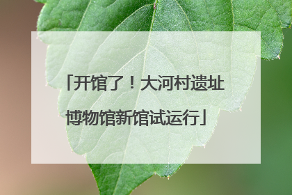 开馆了！大河村遗址博物馆新馆试运行