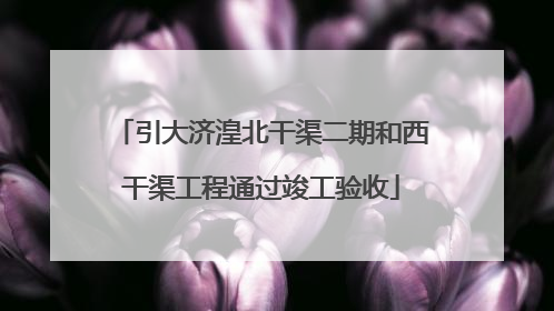 引大济湟北干渠二期和西干渠工程通过竣工验收