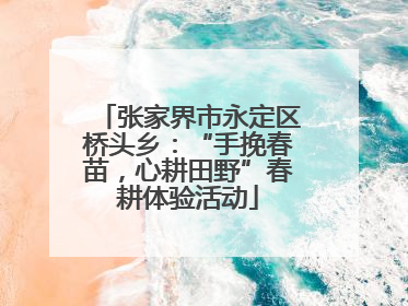 张家界市永定区桥头乡：“手挽春苗，心耕田野”春耕体验活动