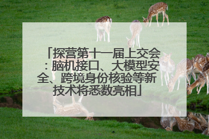探营第十一届上交会：脑机接口、大模型安全、跨境身份核验等新技术将悉数亮相