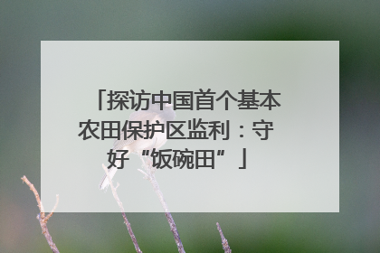 探访中国首个基本农田保护区监利：守好“饭碗田”