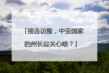 接连访豫，中亚国家的州长最关心啥？