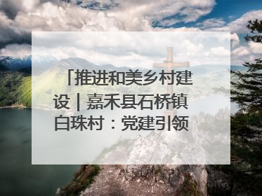 推进和美乡村建设｜嘉禾县石桥镇白珠村：党建引领破“空”局 乡贤聚力绘就新图景