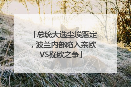 总统大选尘埃落定，波兰内部陷入亲欧VS疑欧之争