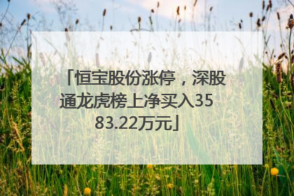 恒宝股份涨停，深股通龙虎榜上净买入3583.22万元