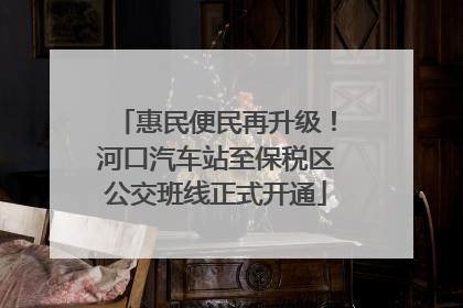 惠民便民再升级！河口汽车站至保税区公交班线正式开通