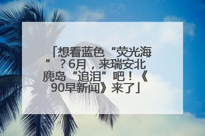 想看蓝色“荧光海”？6月，来瑞安北麂岛“追泪”吧！《90早新闻》来了