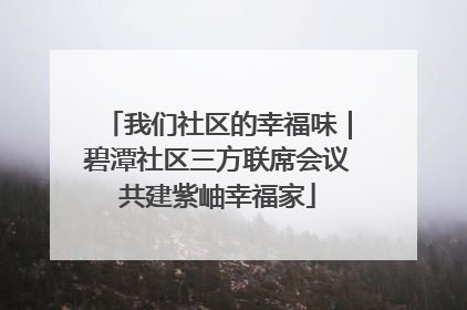 我们社区的幸福味｜碧潭社区三方联席会议共建紫岫幸福家