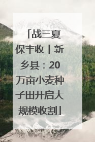 战三夏 保丰收丨新乡县：20万亩小麦种子田开启大规模收割