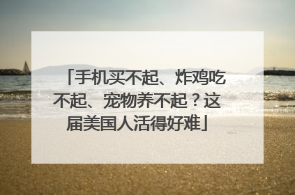 手机买不起、炸鸡吃不起、宠物养不起？这届美国人活得好难