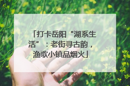 打卡岳阳“湖系生活”：老街寻古韵，渔歌小镇品烟火