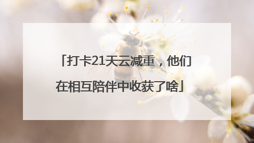 打卡21天云减重，他们在相互陪伴中收获了啥