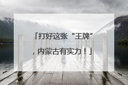 打好这张“王牌”，内蒙古有实力！
