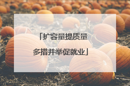 扩容量提质量 多措并举促就业
