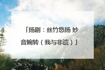 扬剧：丝竹悠扬 妙音婉转（我与非遗）