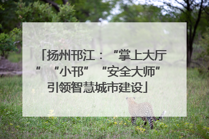 扬州邗江：“掌上大厅”“小邗”“安全大师”引领智慧城市建设