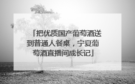把优质国产葡萄酒送到普通人餐桌，宁夏葡萄酒直播间成长记