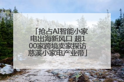 抢占AI智能小家电出海新风口 超100家跨境卖家探访慈溪小家电产业带