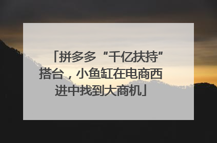 拼多多“千亿扶持”搭台，小鱼缸在电商西进中找到大商机