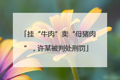 挂“牛肉”卖“母猪肉”，许某被判处刑罚