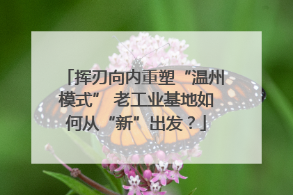 挥刃向内重塑“温州模式” 老工业基地如何从“新”出发？