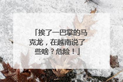 挨了一巴掌的马克龙，在越南说了些啥？危险！