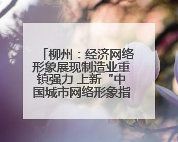 柳州：经济网络形象展现制造业重镇强力 上新“中国城市网络形象指数”报告
