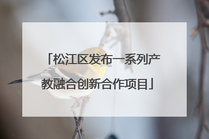 松江区发布一系列产教融合创新合作项目