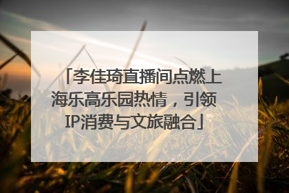 李佳琦直播间点燃上海乐高乐园热情，引领IP消费与文旅融合