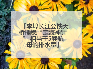 李埠长江公铁大桥插稳“定海神针” 相当于5艘航母的排水量