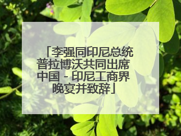 李强同印尼总统普拉博沃共同出席中国－印尼工商界晚宴并致辞