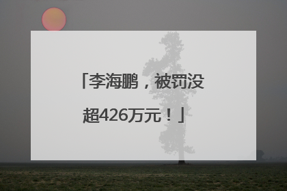 李海鹏，被罚没超426万元！